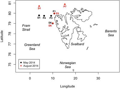 Relationship Between Carbon- and Oxygen-Based Primary Productivity in the Arctic Ocean, Svalbard Archipelago